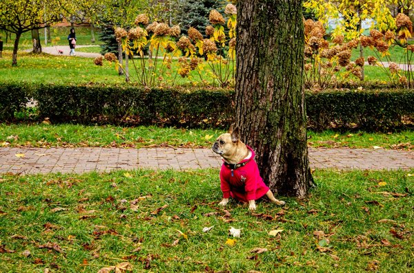 Healthandwellnessinsights