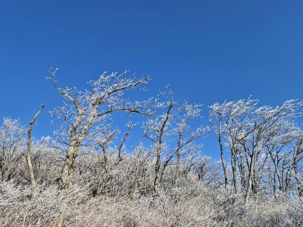 What Role Does Sleep Play in Weight Loss?